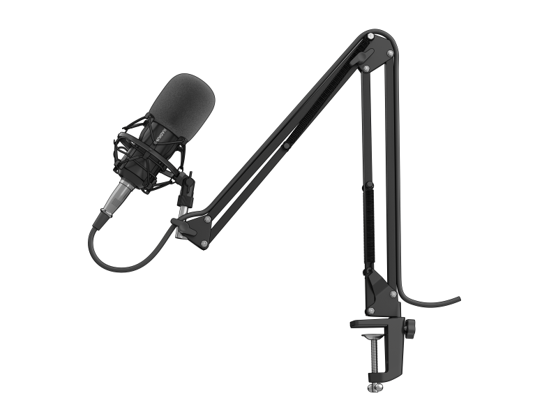 Microfon GENESIS Radium 300 XLR, tip Condenser, USB/3.5 mm