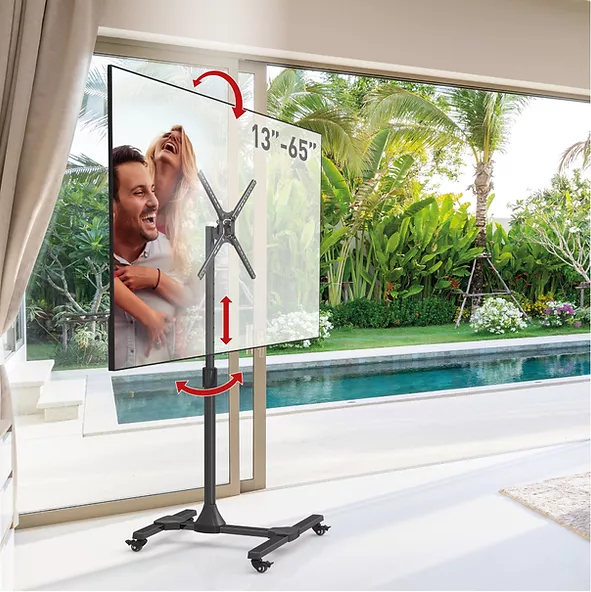 Suport TV de podea, Barkan SW310H, Reglabil, 13"- 65", VESA