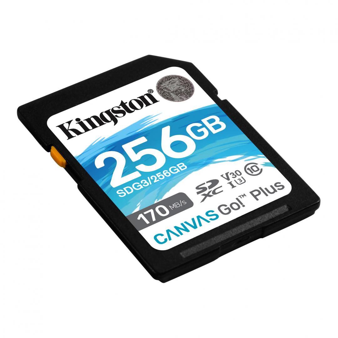 Card de Memorie SDXC Kingston Canvas GO Plus, 256GB, Class - imagine 3