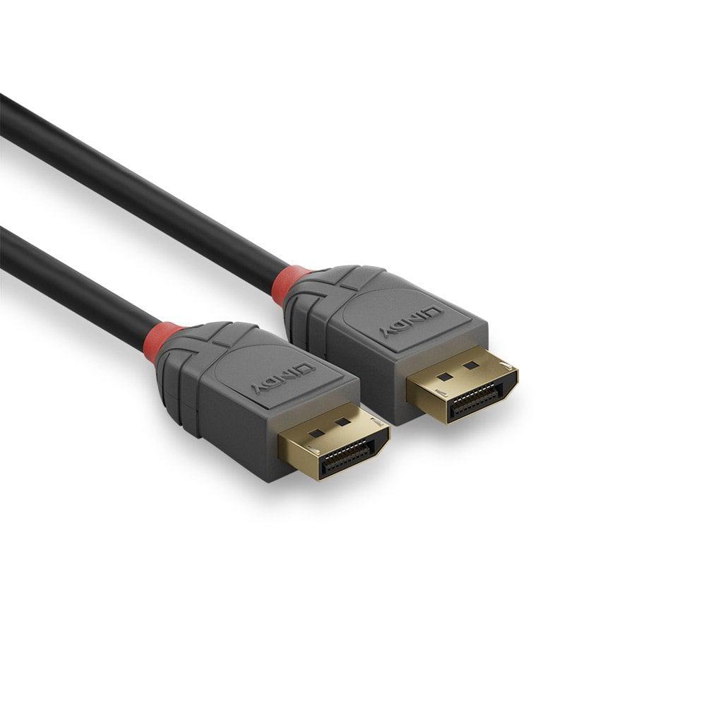 Cablu Lindy LY-36484, DisplayPort 1.2 Cable, Anthra Line - imagine 4